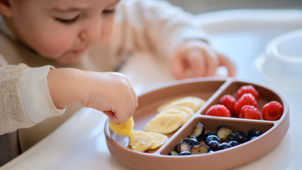 A baby with fruit on a plate